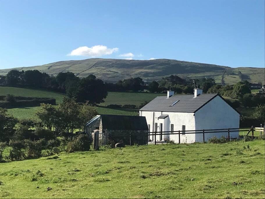 Hilltown Mournes Family Cottage With Hot Tub מראה חיצוני תמונה