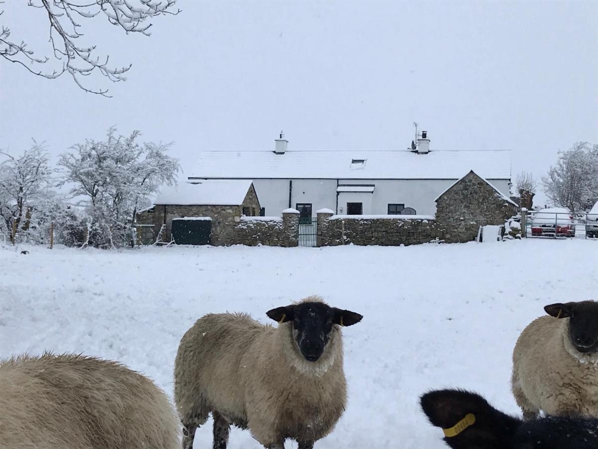 Hilltown Mournes Family Cottage With Hot Tub מראה חיצוני תמונה