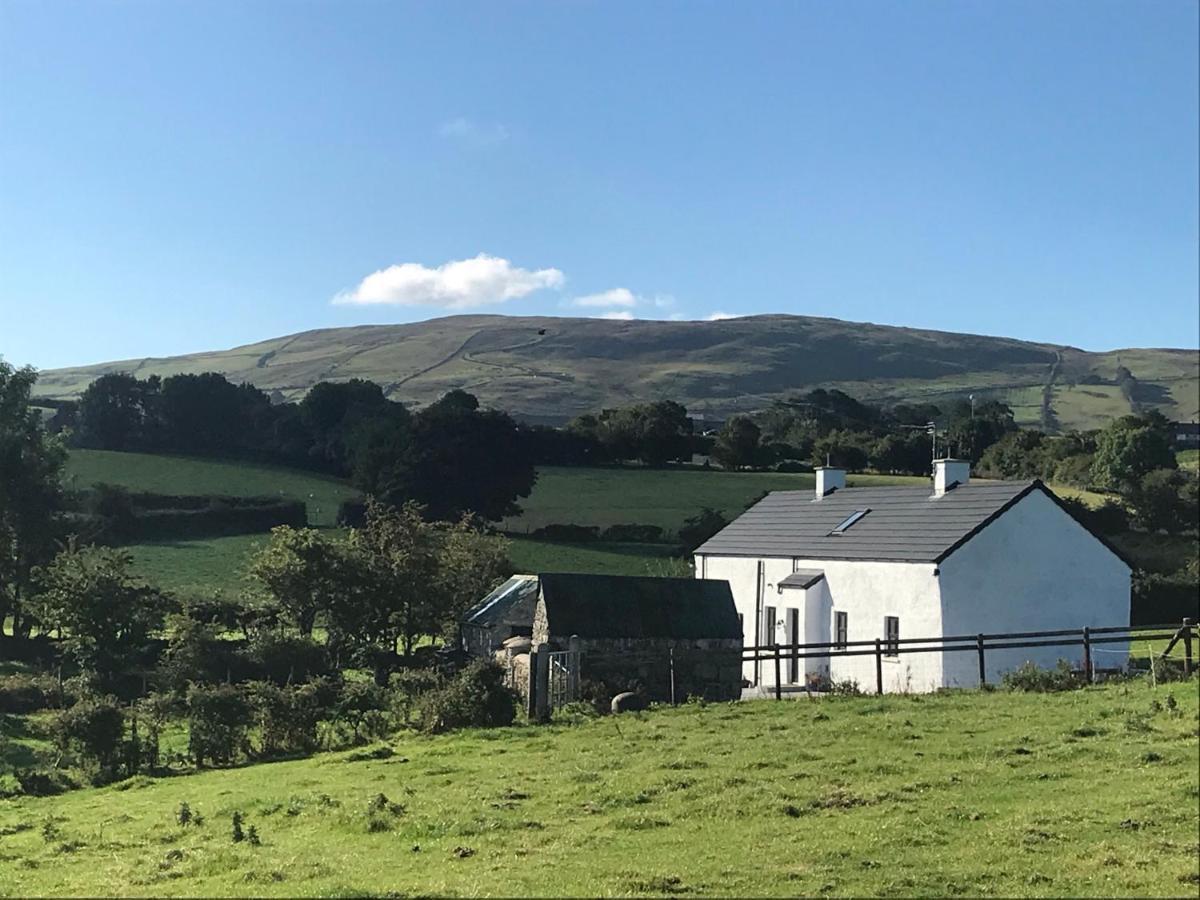 Hilltown Mournes Family Cottage With Hot Tub מראה חיצוני תמונה